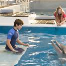 Dolphin Tale5.jpg