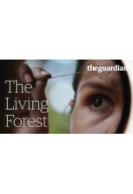 DF_The-Living-Forest_poster_16×9.jpg