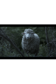 Lamb_Still_010_메인.png